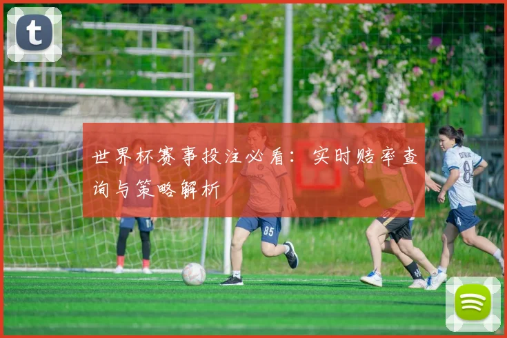 世界杯赛事投注必看：实时赔率查询与策略解析