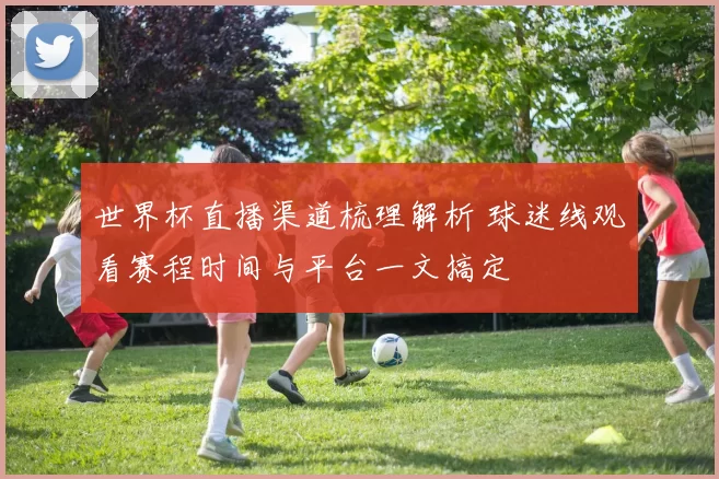 世界杯直播渠道梳理解析 球迷线观看赛程时间与平台一文搞定