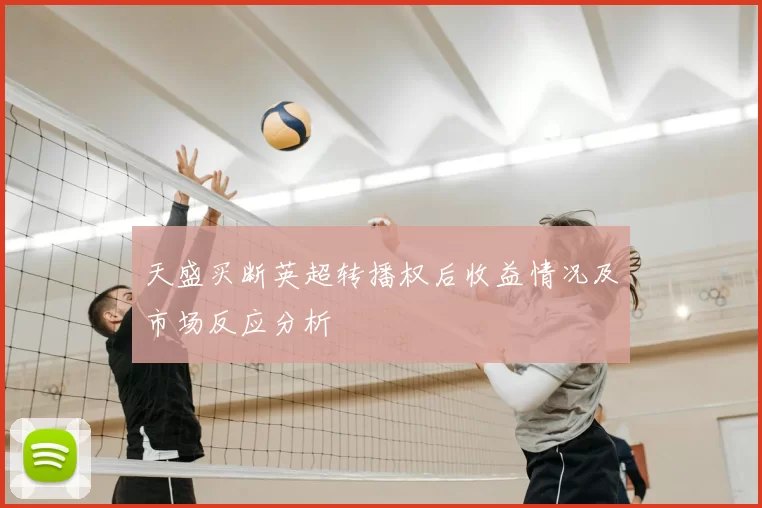 天盛买断英超转播权后收益情况及市场反应分析