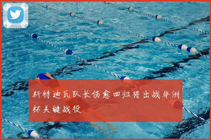 科特迪瓦队长伤愈回归将出战非洲杯关键战役